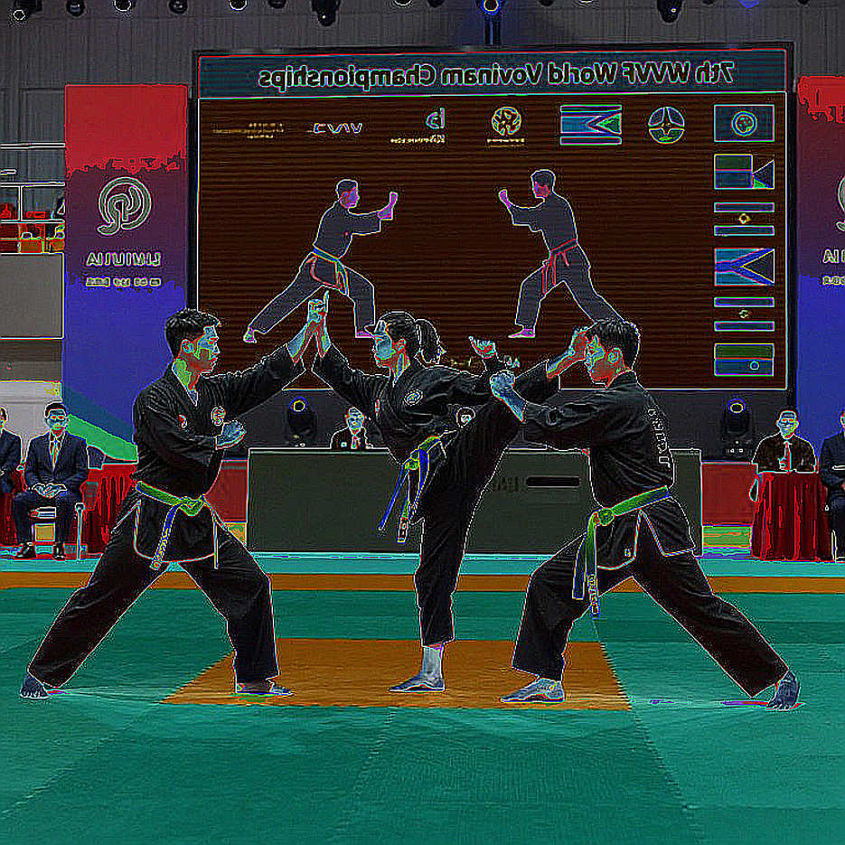 Vovinam Việt Nam 2026: Khi Khán Đài Trống Và Hệ Thống Lên Tiếng