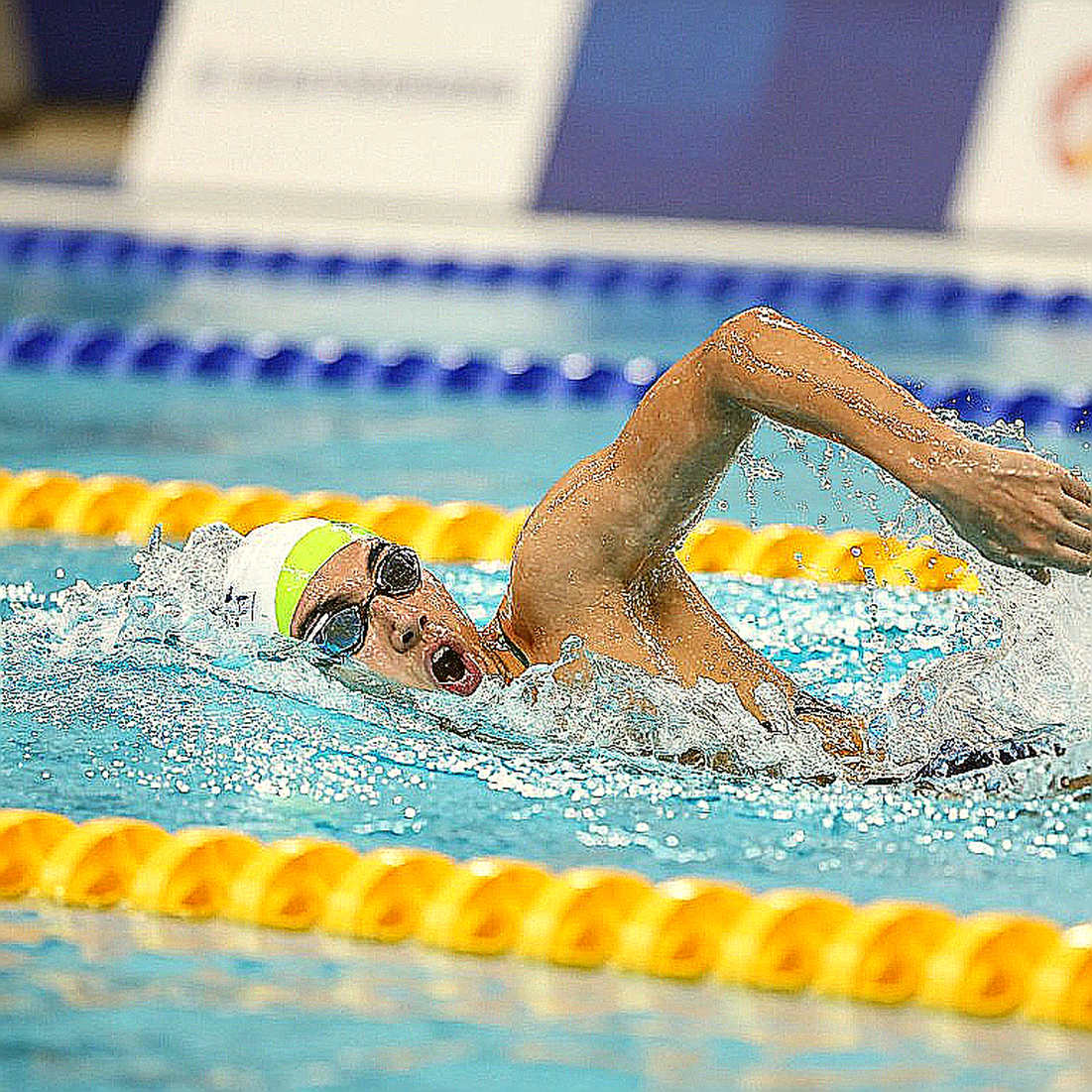 Bơi lội đại học Mỹ mở màn: Đọc cấu trúc từ lượt trận thứ ba College Swim League
