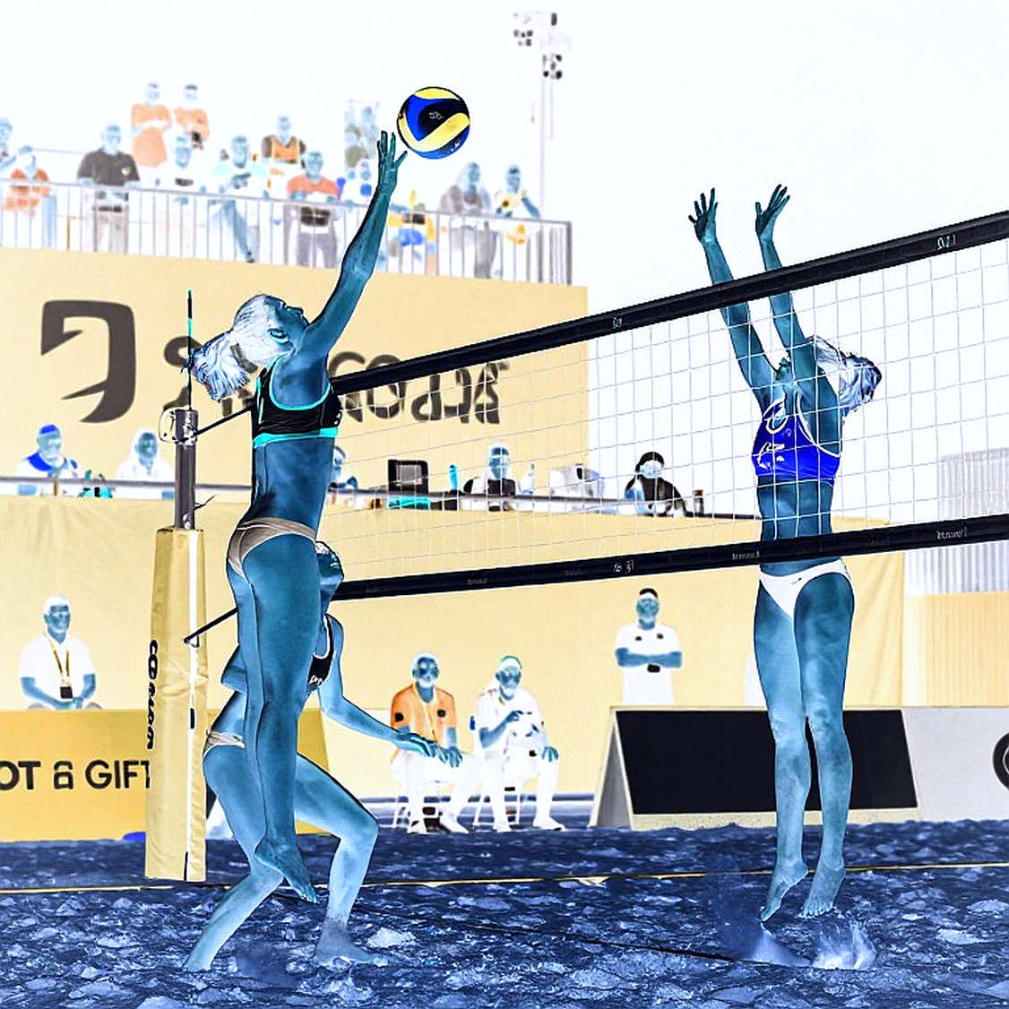 The East Asian Volleyball Transfer Window: The Signal Hides Where Nobody Reads